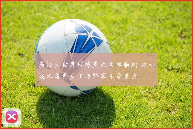 乌拉圭世界杯球员大名单解析 核心战术角色分工与阵容竞争看点