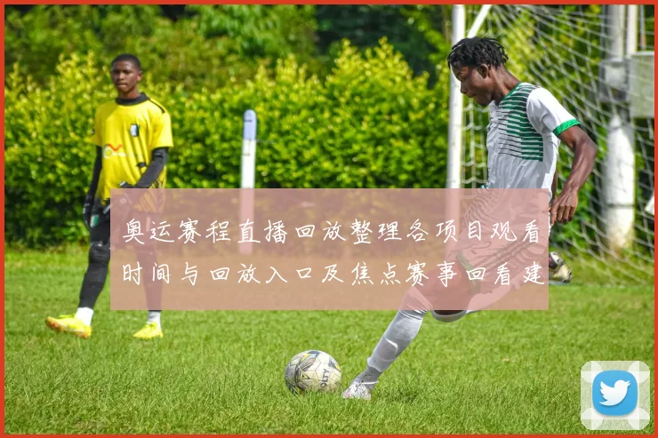 奥运赛程直播回放整理各项目观看时间与回放入口及焦点赛事回看建议
