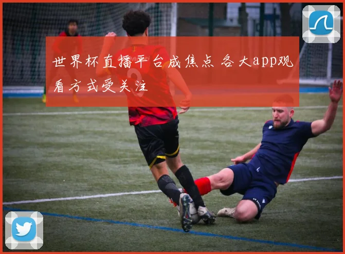 世界杯直播平台成焦点 各大app观看方式受关注