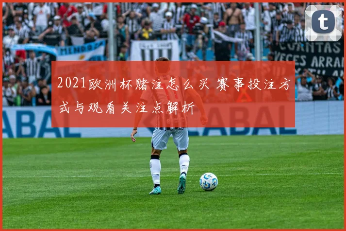 2021欧洲杯赌注怎么买 赛事投注方式与观看关注点解析