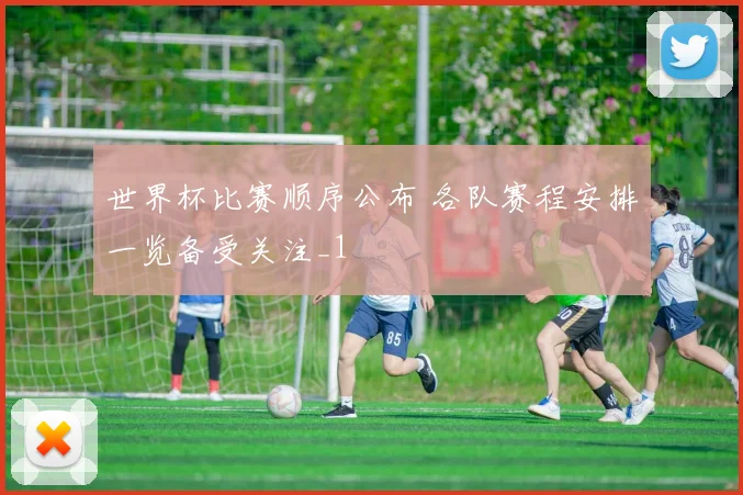 世界杯比赛顺序公布 各队赛程安排一览备受关注_1