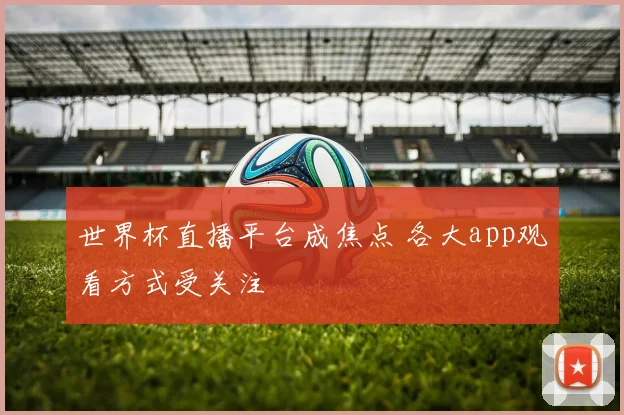 世界杯直播平台成焦点 各大app观看方式受关注
