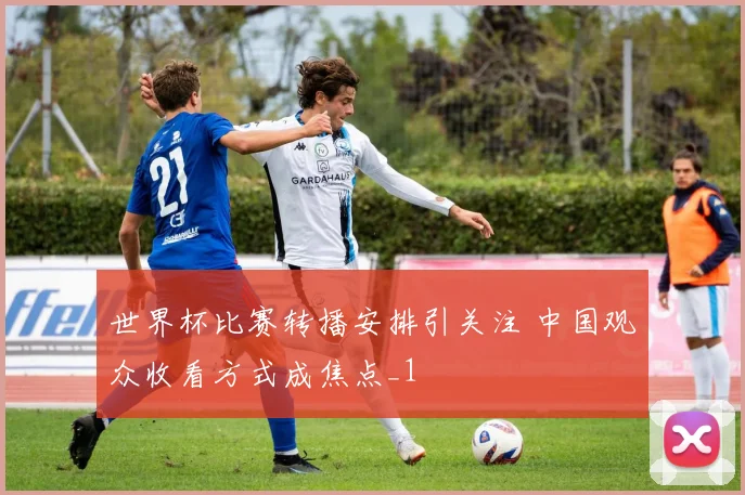 世界杯比赛转播安排引关注 中国观众收看方式成焦点_1